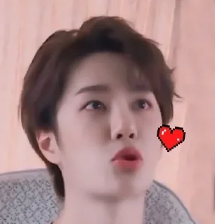 😘 emoji Wang Yibo 💚 Telegram sticker 12 of 41
