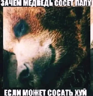 Sticker from старт пак