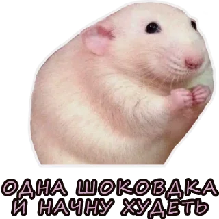 🐁 emoji Lena Golovach Telegram sticker 22 of 31