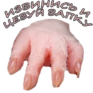 🐁 emoji Lena Golovach Telegram sticker 8 of 31