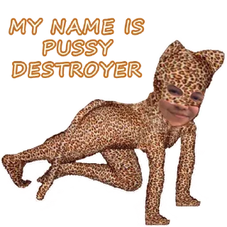 🐯 emoji Lena Golovach Telegram sticker 16 of 31
