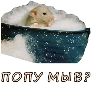 🛁 emoji Lena Golovach Telegram sticker 19 of 31