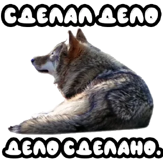 ☑️ emoji Волки @stickernayaa Telegram sticker 17 of 25