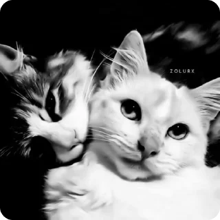 💞 emoji kitty♡ Telegram sticker 20 of 55