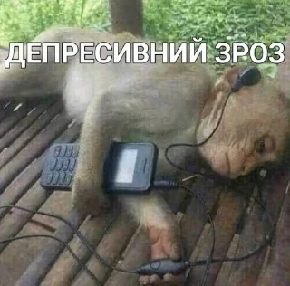 😢 emoji Monkey Telegram sticker 9 of 11