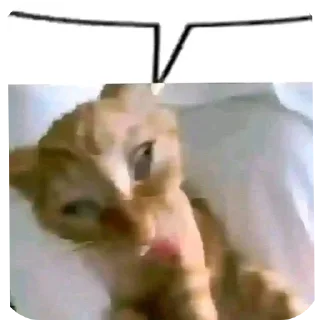 👄 emoji Пісець Telegram sticker 14 of 97