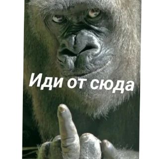 ✋ emoji Привет заебал Telegram sticker 20 of 120