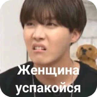 🐶 emoji Привет заебал Telegram sticker 24 of 120