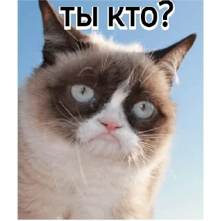👺 emoji Че Telegram sticker 18 of 41