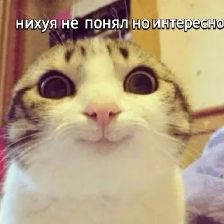 Sticker from Че