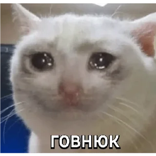 👉 emoji Че Telegram sticker 15 of 41