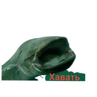 😕 emoji 🐟 рыбки 🐟 @StickersPackRobot Telegram sticker 8 of 55