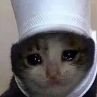 😢 emoji котики Telegram sticker 10 of 30
