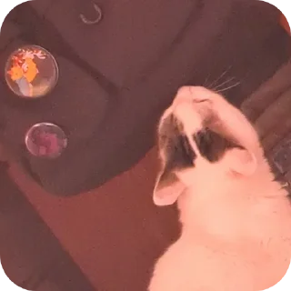 😮‍💨 emoji мася дура Telegram sticker 11 of 83