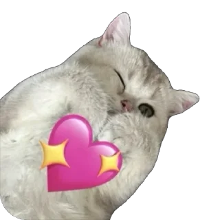 ❤ emoji Мася Гномыч Telegram sticker 17 of 22