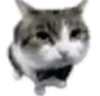 🌟 emoji Я уверяю мне можно доверить ог Telegram sticker 15 of 87