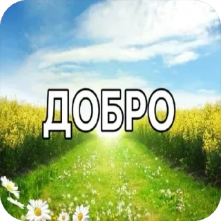 📞 emoji Я уверяю мне можно доверить ог Telegram sticker 24 of 87