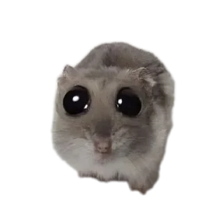 Sticker from Мемная папка | @NullsNevs