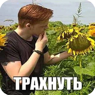 🙂 emoji Стикеры боба @StickersPackRobot Telegram sticker 18 of 35