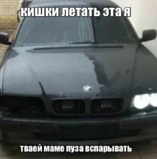 😁 emoji бебропракуратура иу @sozdat_stikery_bot Telegram sticker 12 of 114