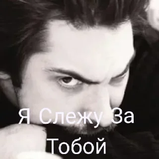 😄 emoji КиШки Telegram sticker 6 of 13