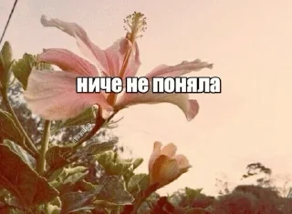 Ми sticker 2