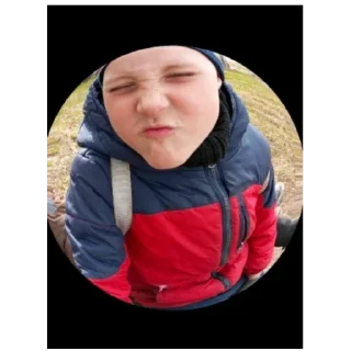 🍔 emoji русофоб Telegram sticker 5 of 15