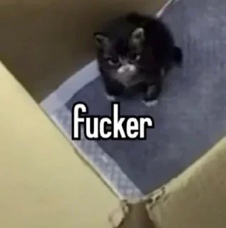 🐈‍⬛ emoji вика ментос Telegram sticker 21 of 52