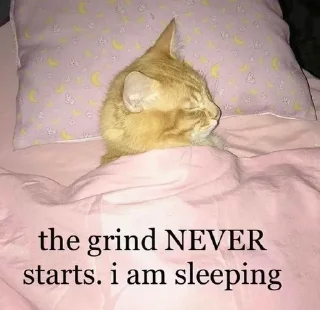 🛌 emoji вика ментос Telegram sticker 9 of 52