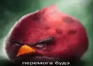 🌟 emoji Год дэм фак :: капуста создатель Telegram sticker 18 of 37