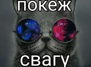 🌟 emoji Год дэм фак :: капуста создатель Telegram sticker 15 of 37