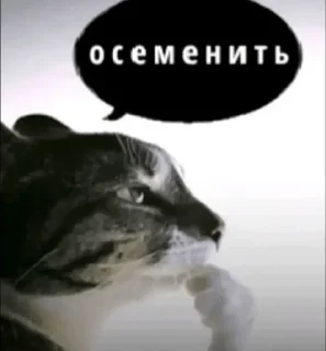 🌟 emoji гаддэм фак Telegram sticker 12 of 120