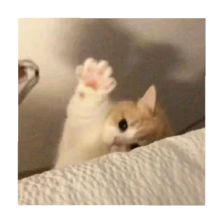 😄 emoji Аришка Telegram sticker 15 of 120