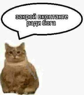 🌟 emoji гаддэм фак Telegram sticker 10 of 120