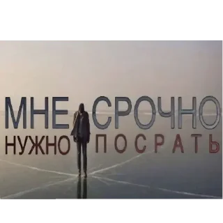 👍 emoji Год дэм фак :: капуста создатель Telegram sticker 24 of 37