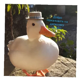 😄 emoji Гуси топчик Telegram sticker 9 of 15