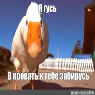 😈 emoji Гуси Telegram sticker 6 of 42