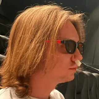 😎 emoji Гуси Telegram sticker 21 of 74
