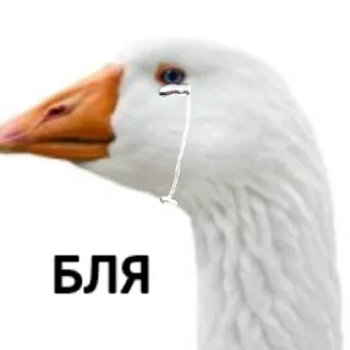 😓 emoji Гуси [] Telegram sticker 21 of 23