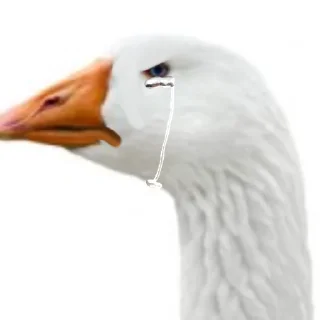 😡 emoji Гуси [] Telegram sticker 23 of 23