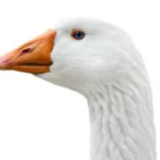 🙂 emoji Гуси [] Telegram sticker 16 of 23