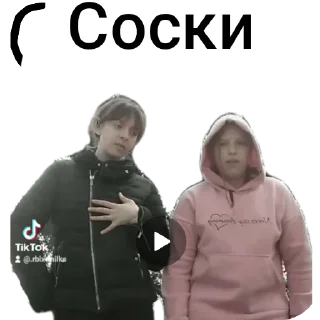 🧍 emoji Гуси Telegram sticker 18 of 30