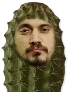 🌵 emoji Паша Техник Telegram sticker 19 of 42