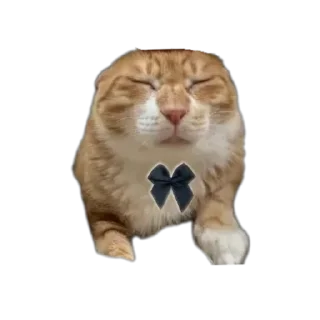 🥱 emoji Соса пж Telegram sticker 7 of 15