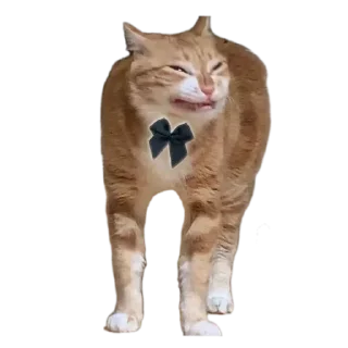 🤬 emoji Соса пж Telegram sticker 5 of 15