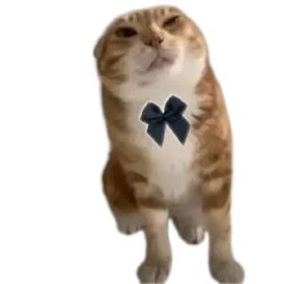 😨 emoji Соса пж Telegram sticker 11 of 15