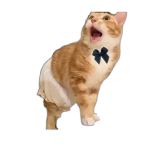 🤬 emoji Соса пж Telegram sticker 10 of 15