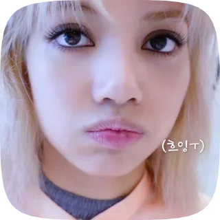 Sticker from ⌗៹ ࣪ lisa fr @helpfrrose 𓂃