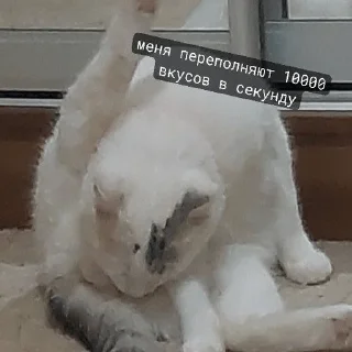 Sticker from а где закладка?🤯