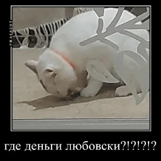 Sticker from а где закладка?🤯